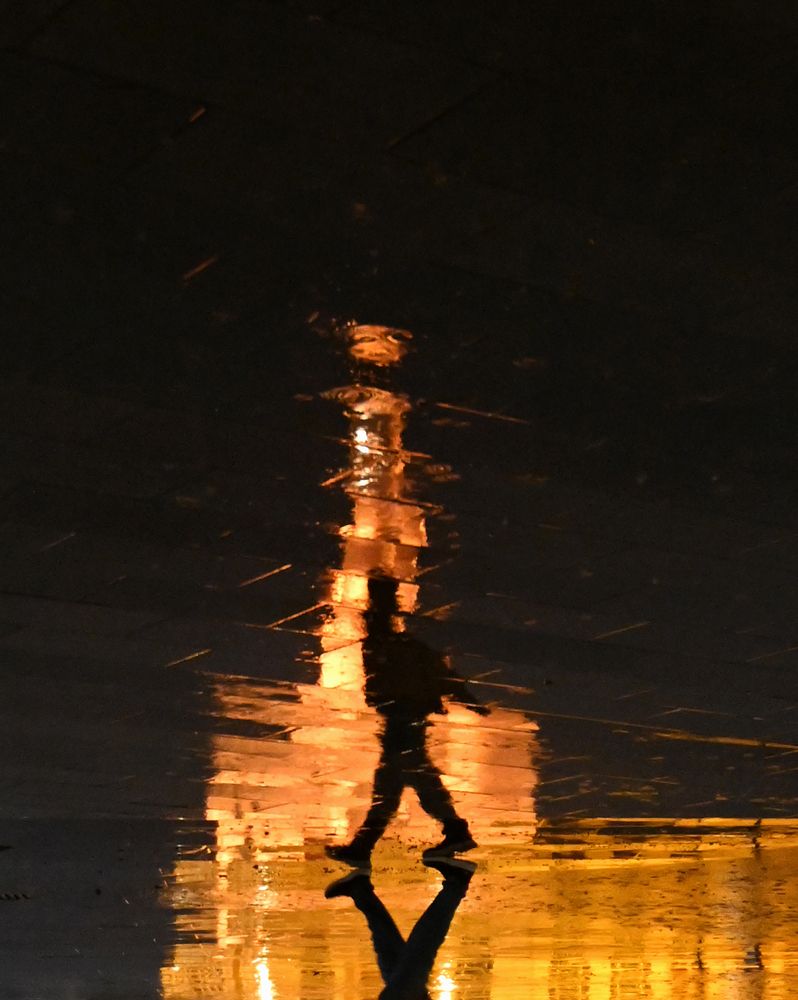 Photograph by Shaji Hussain