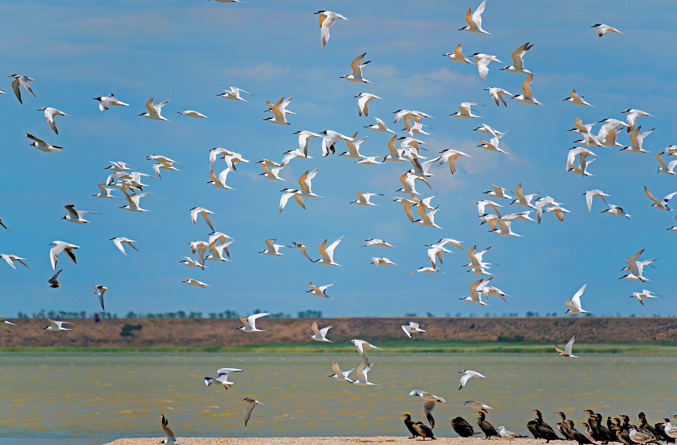 Photograph by Василиса