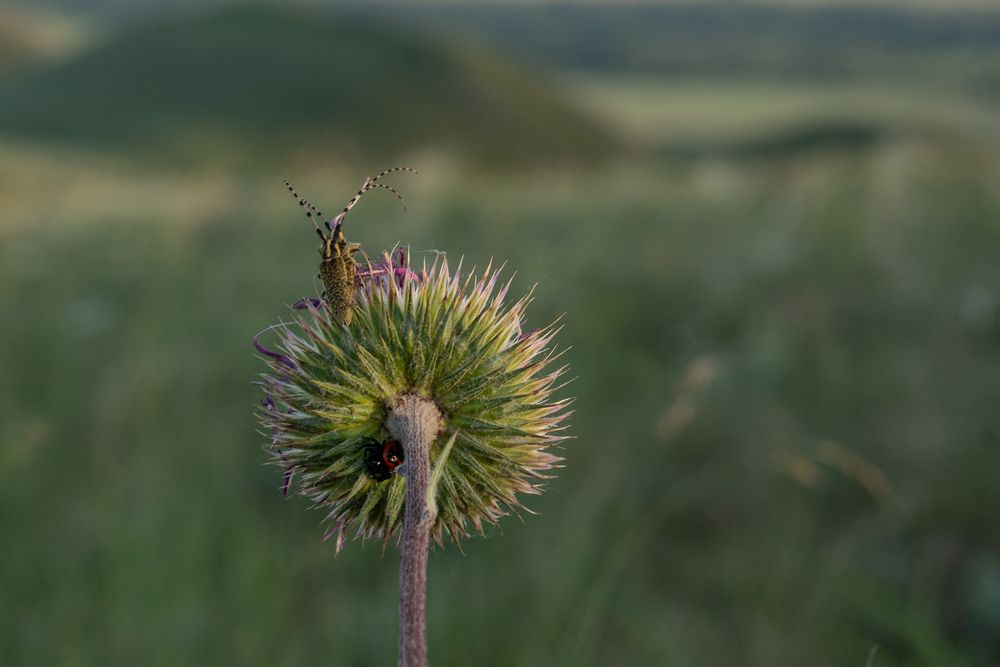 Photograph by Евгения Ковригина