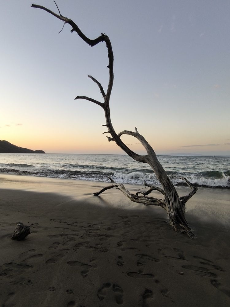 Photograph by JOSÉ Francisco Alvarado RUIZ