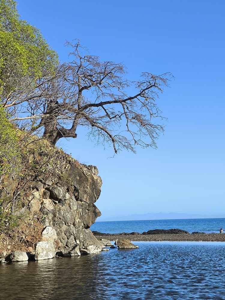 Photograph by JOSÉ Francisco Alvarado RUIZ