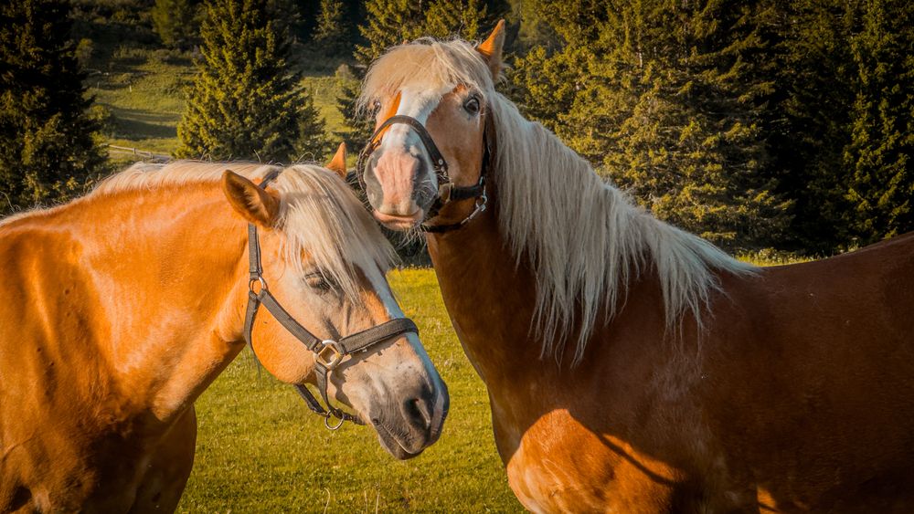 Photograph by ercan eraslan