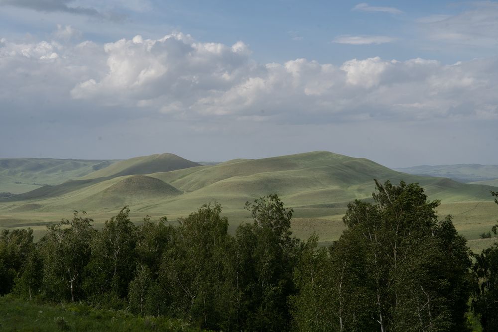 Photograph by Евгения Ковригина
