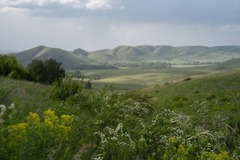 Простор