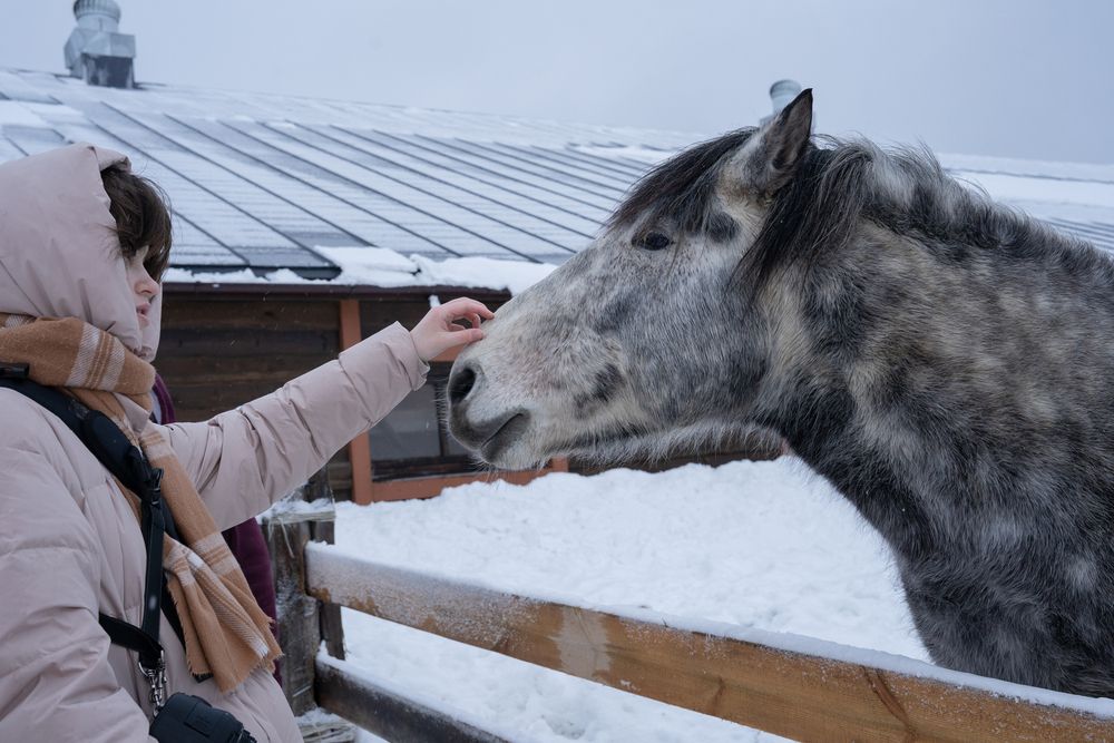 Photograph by Евгения Ковригина