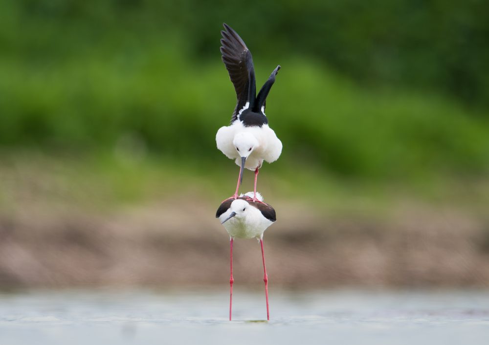 Photograph by Дмитрий Федорако