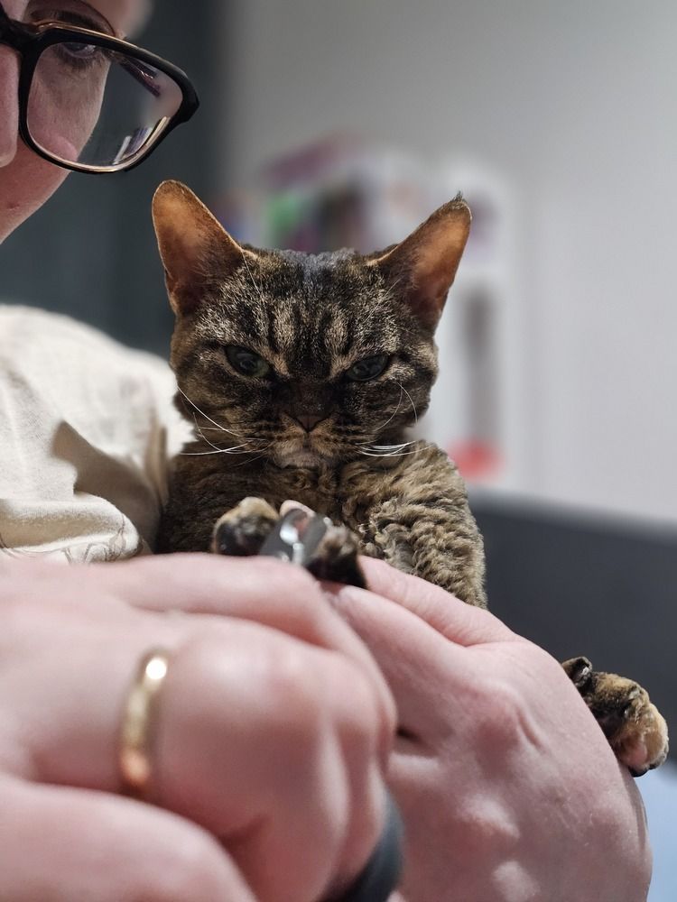 Photograph by Elena Neprosh