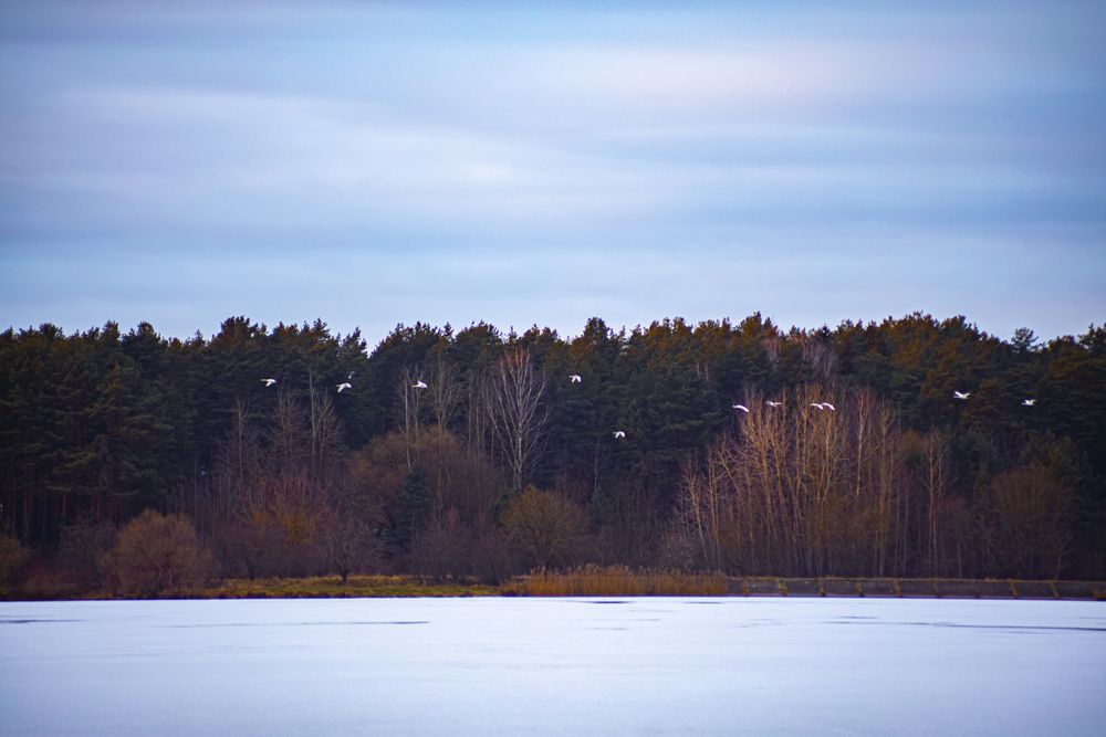 Photograph by Наталья Котько