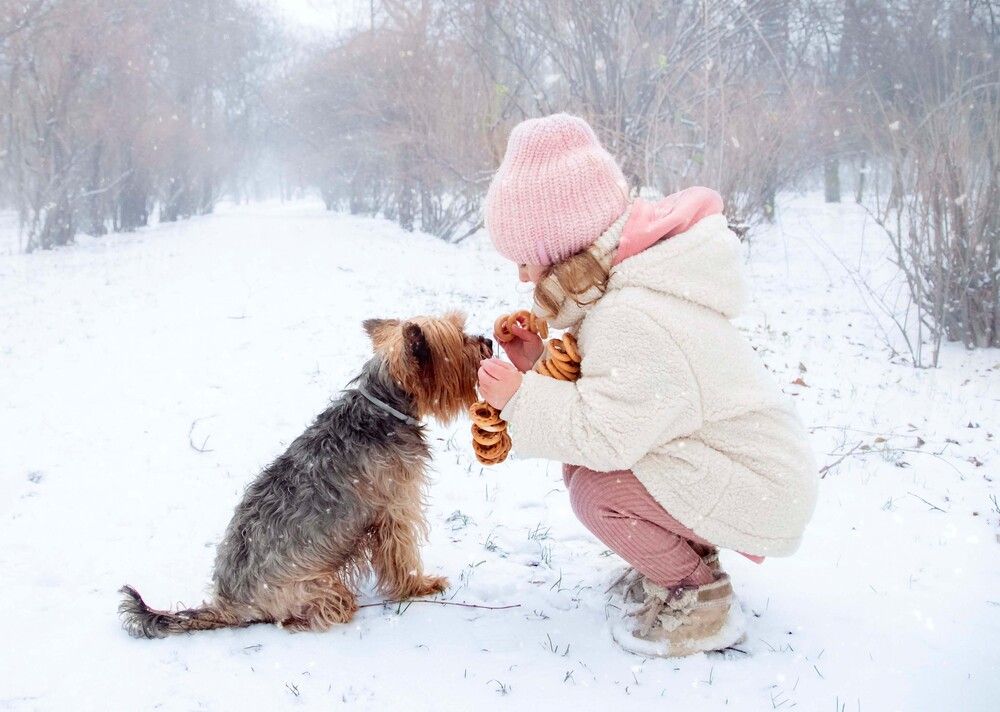 Photograph by Наталья Шумиловская