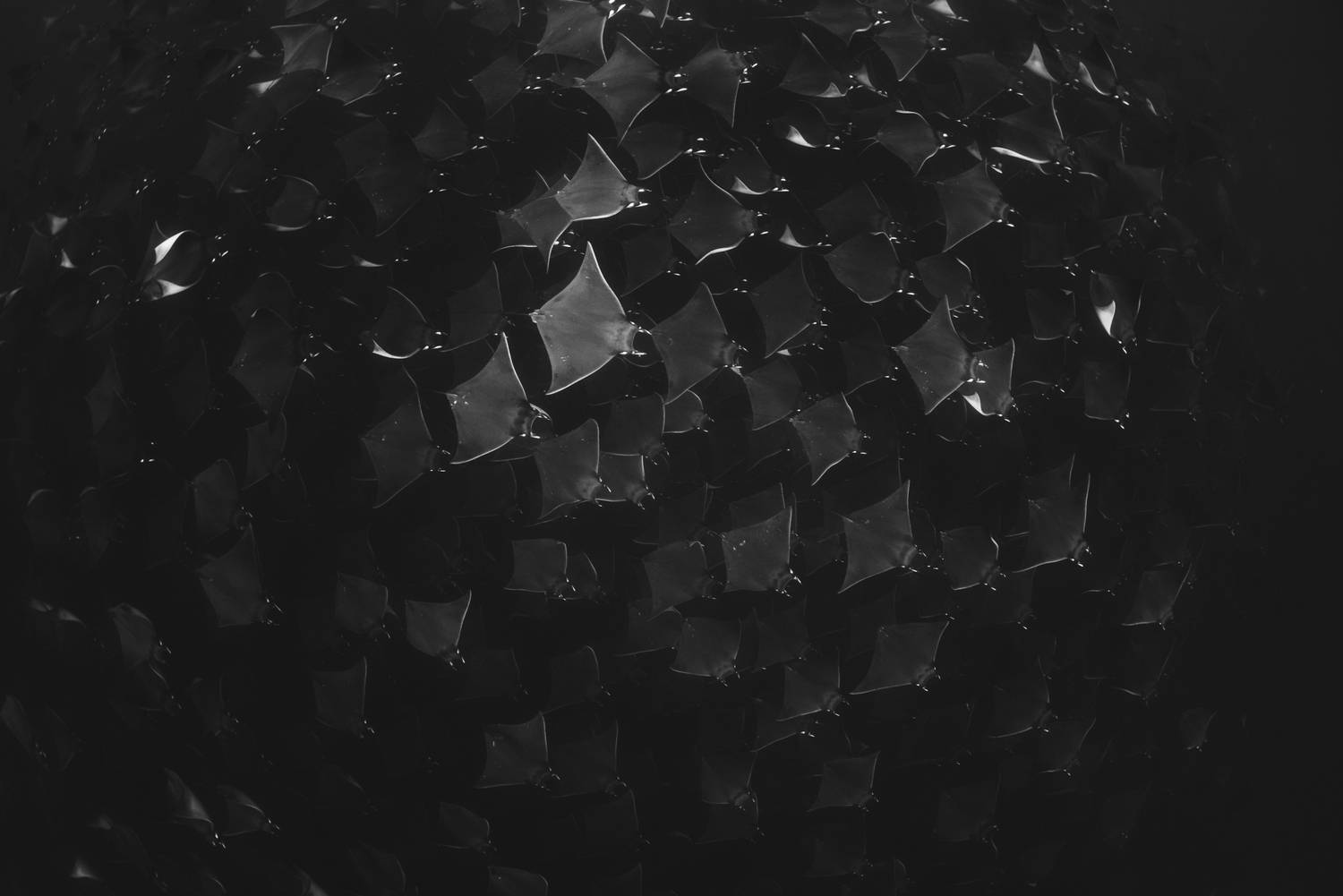 Sea of rays Sea of rays