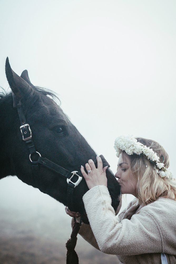 Photo #13311430