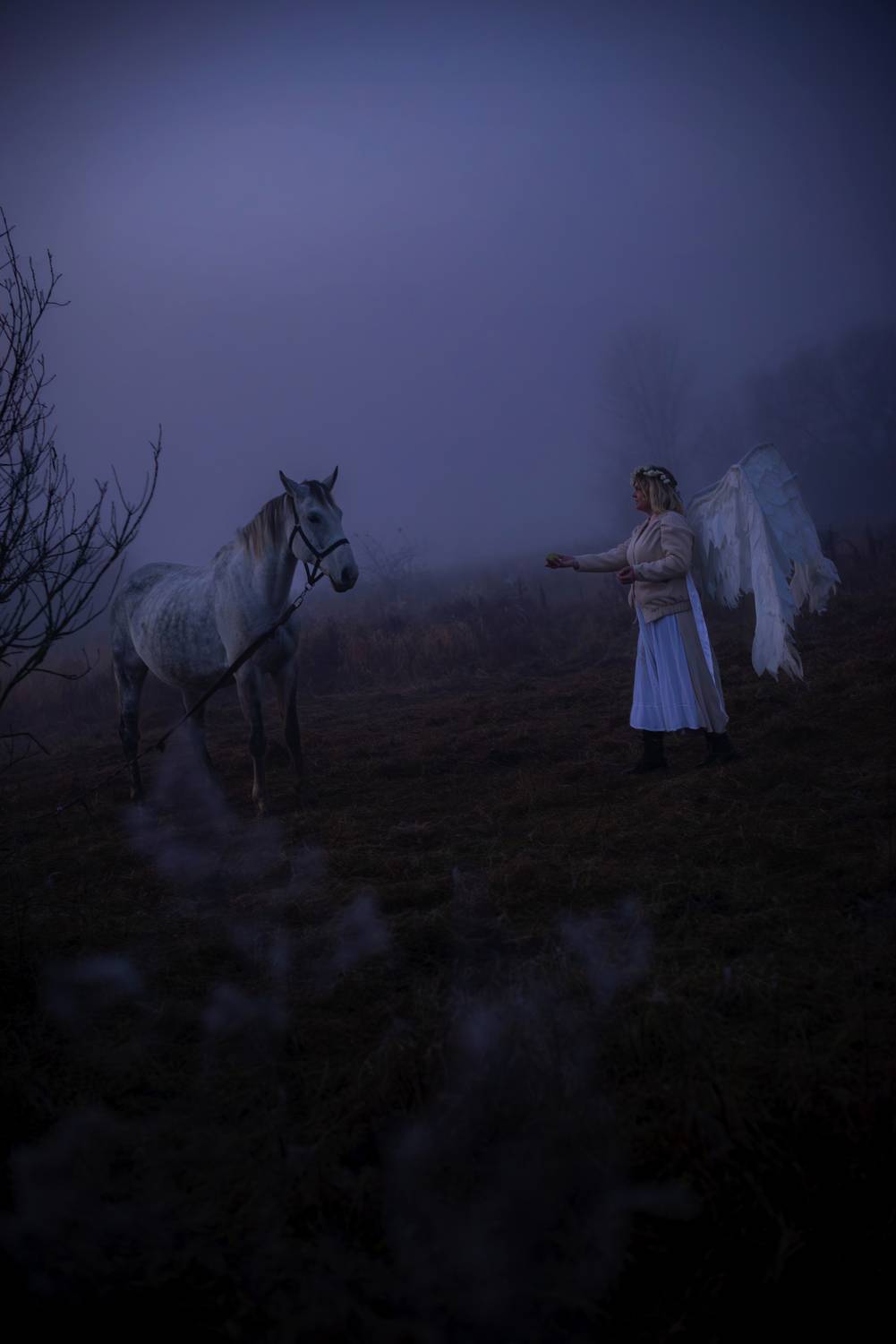 Photo #13311431