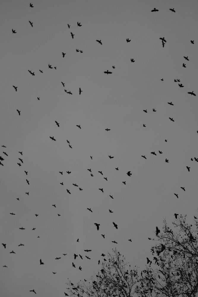 Photograph by Maxim Lip