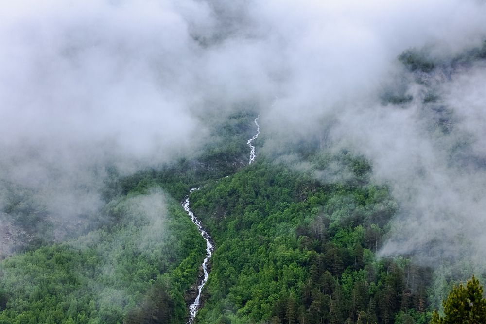 Photograph by алия евдокимова