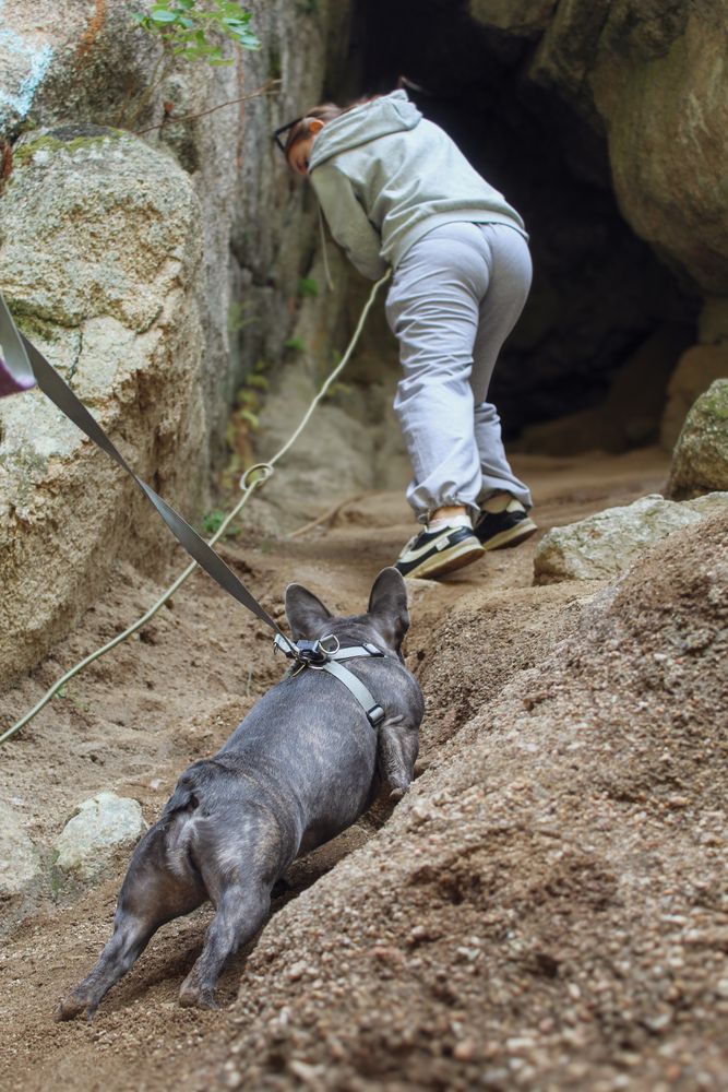 Фотография автора Марина Борисова