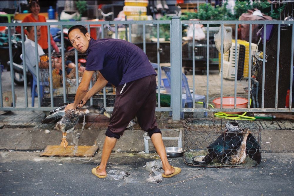 Photograph by Вознесенский Никита