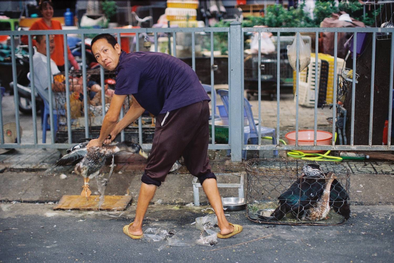 Фотография #13311745