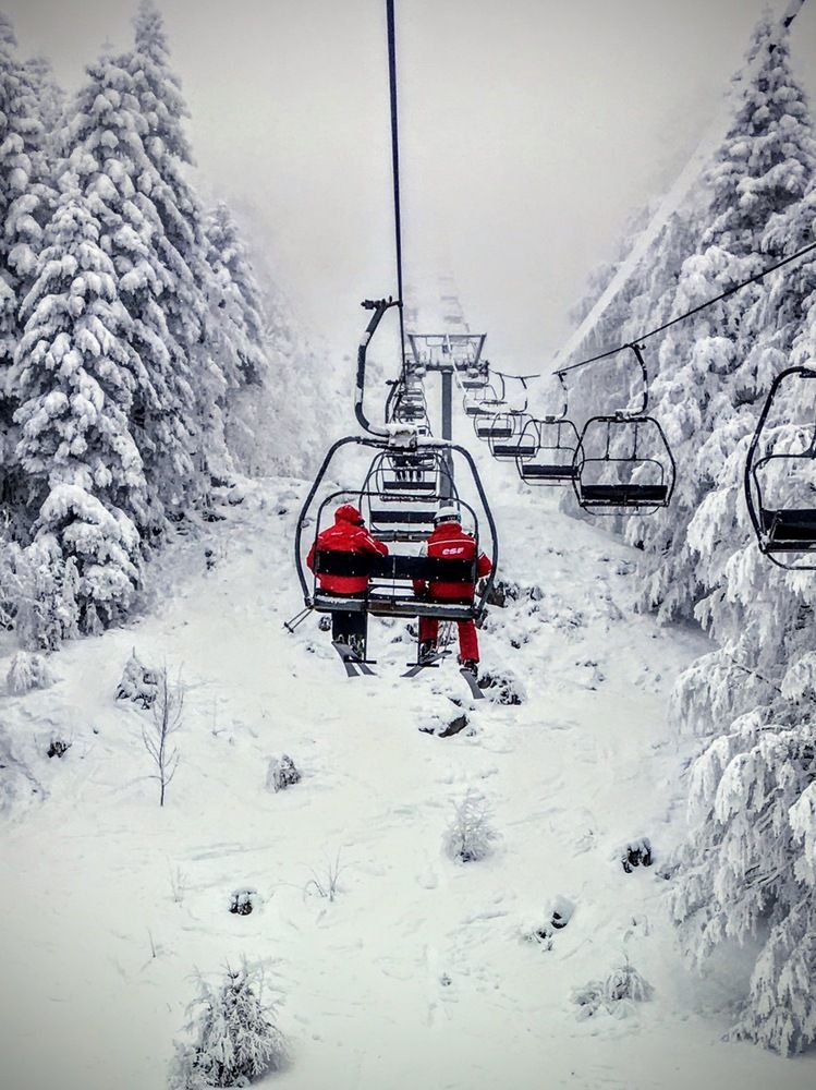 Photograph by Uliana En