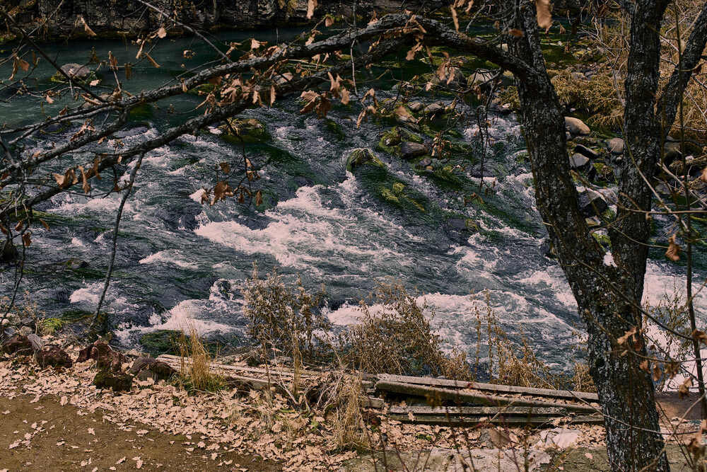 Photograph by Вознесенский Никита