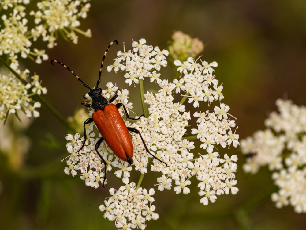 Photograph by Виктор Сёмушкин