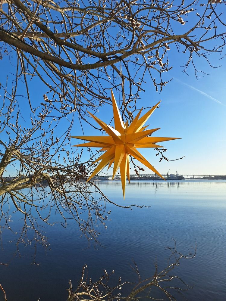 Photograph by Ольга Мольдон