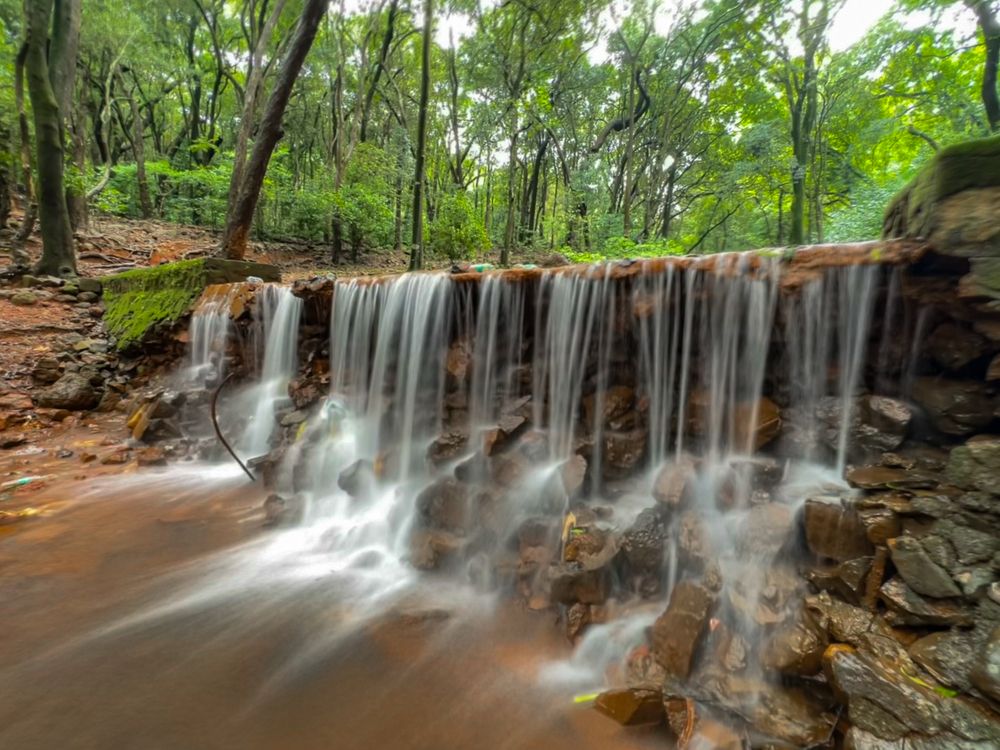 Photograph by Manish Rao