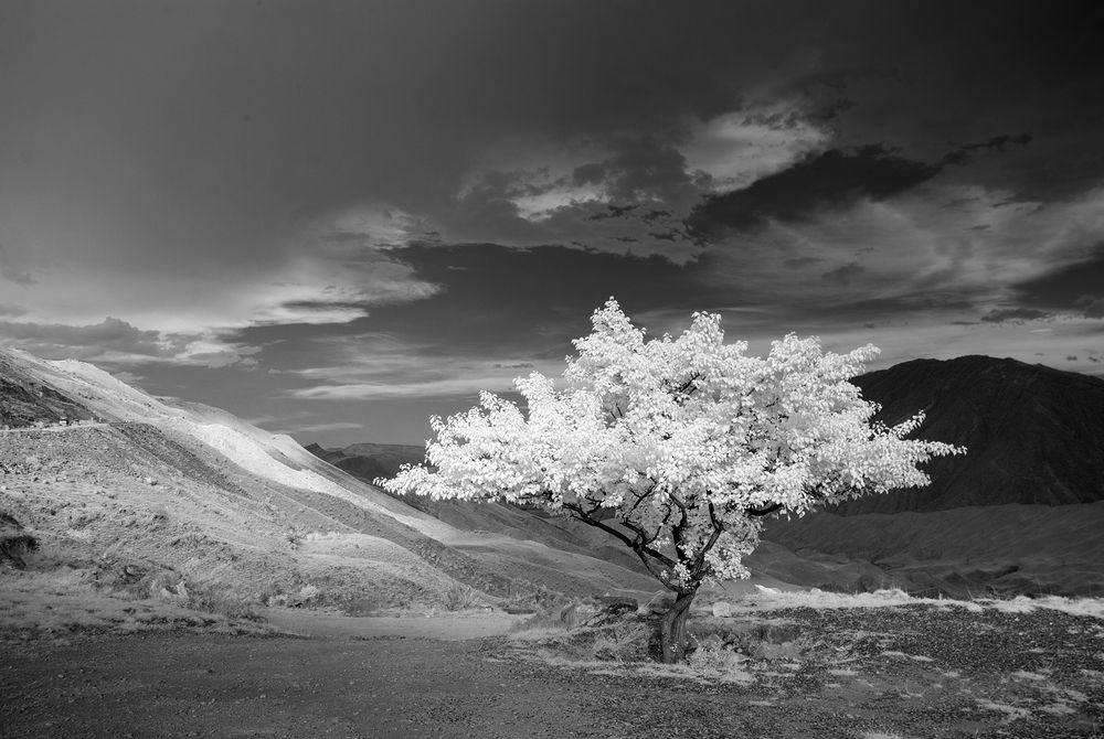 Photograph by Алексей Верзун