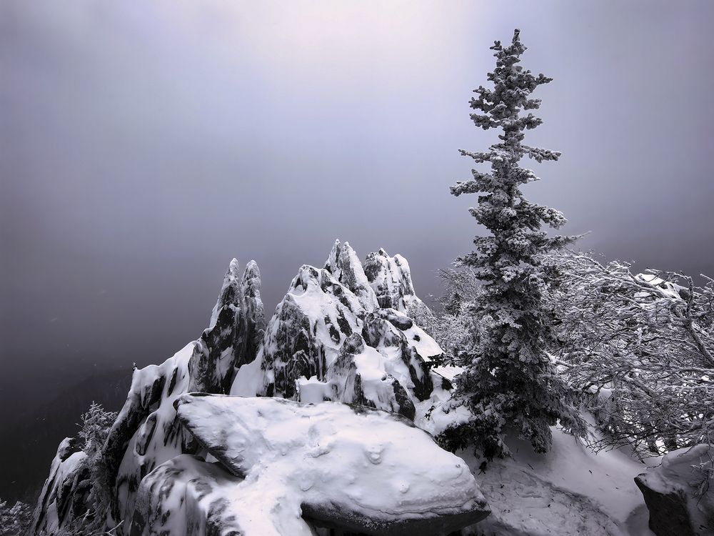 Одиночество