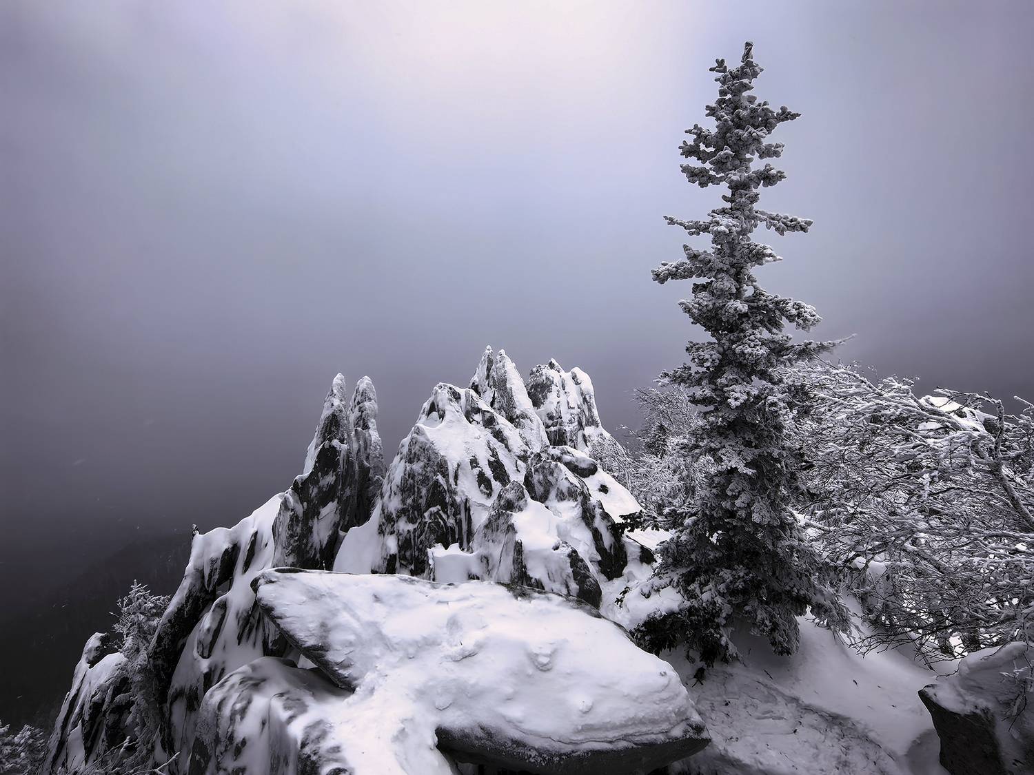 Одиночество