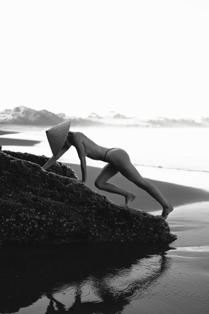 Photo #13312033