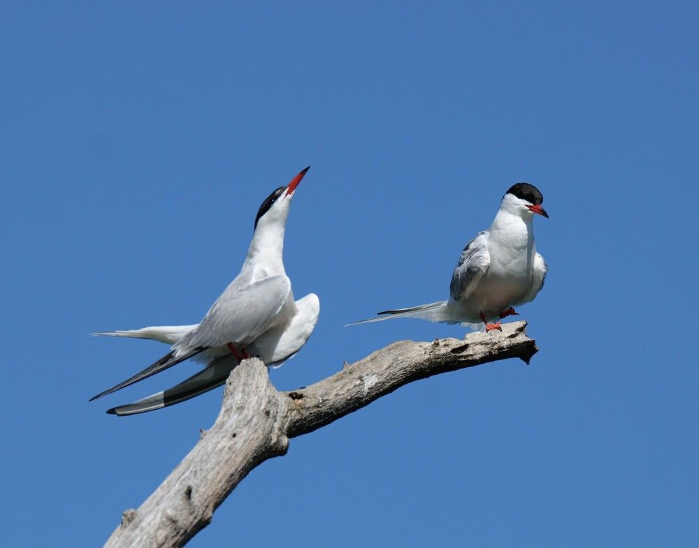 Photograph by Оксана Архипова