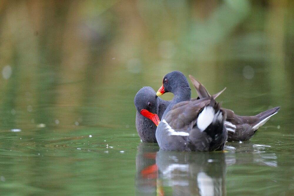 Photograph by Оксана Архипова