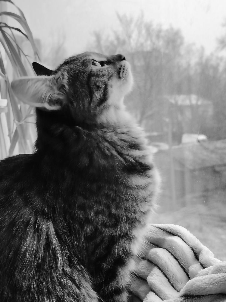 Photograph by Lyudmila Lebedeva