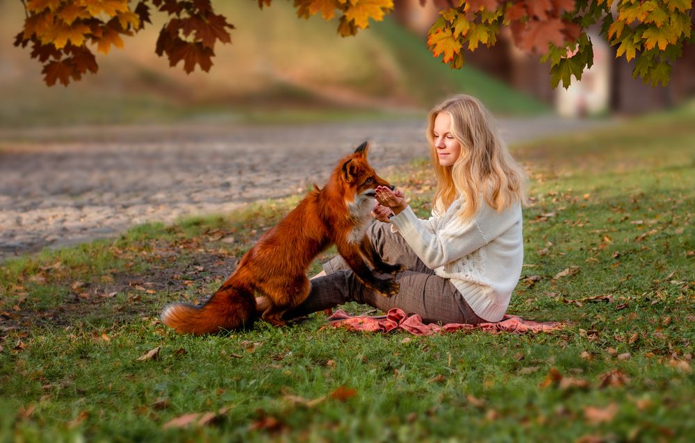 Photograph by Екатерина Лебедева