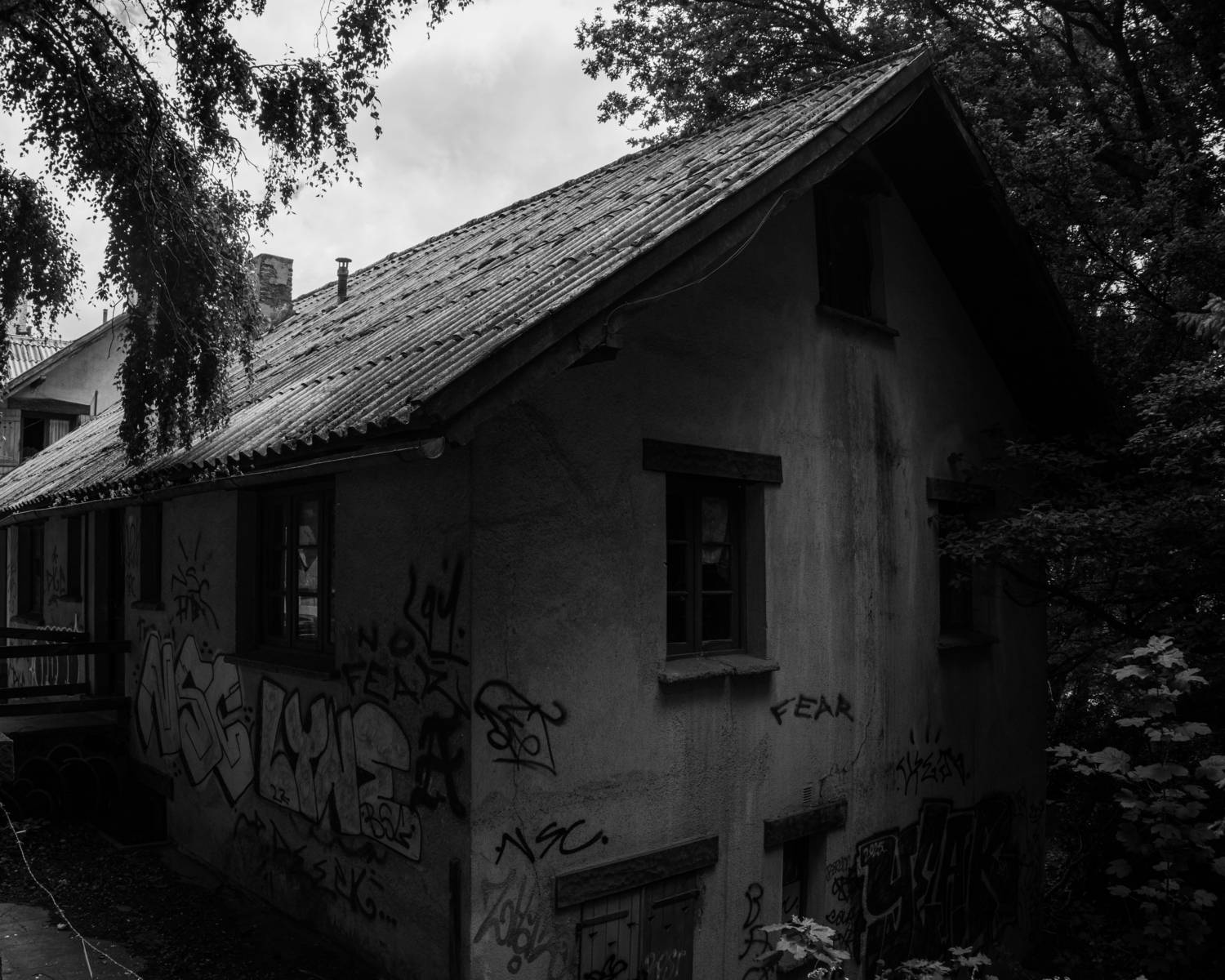 The Canvas of Oblivion The Canvas of Oblivion