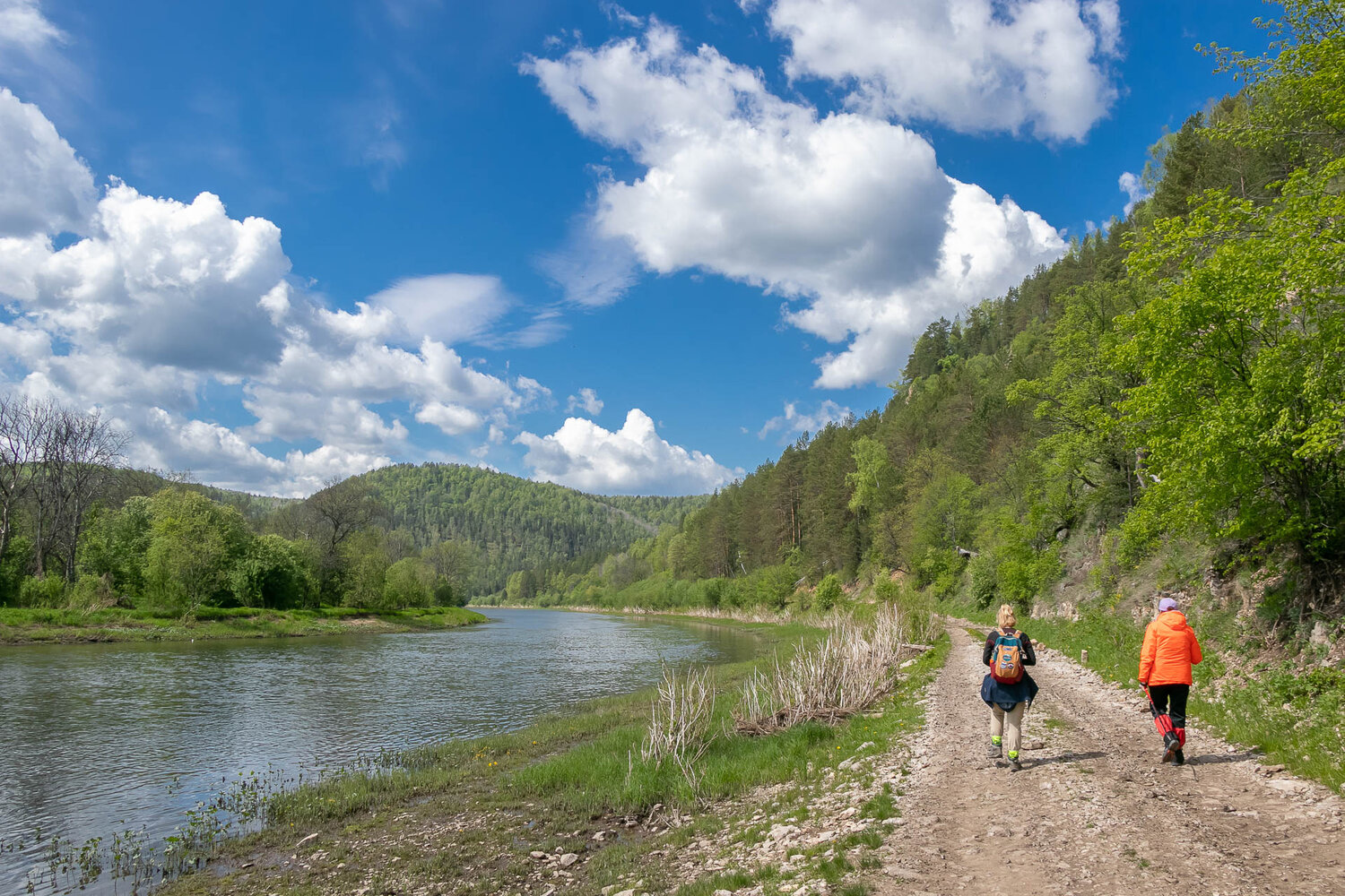 Photo #13312267