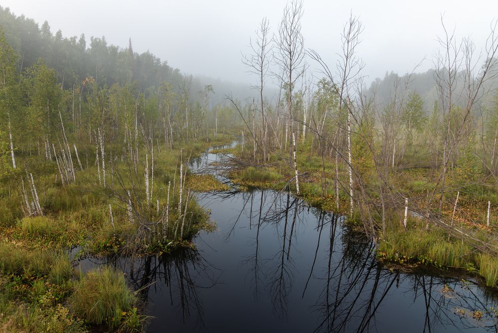 Photograph by Альварис Сукманюк