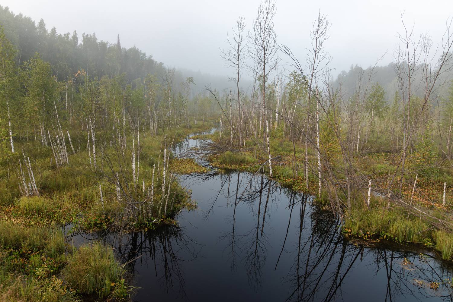 Фотография #13312307