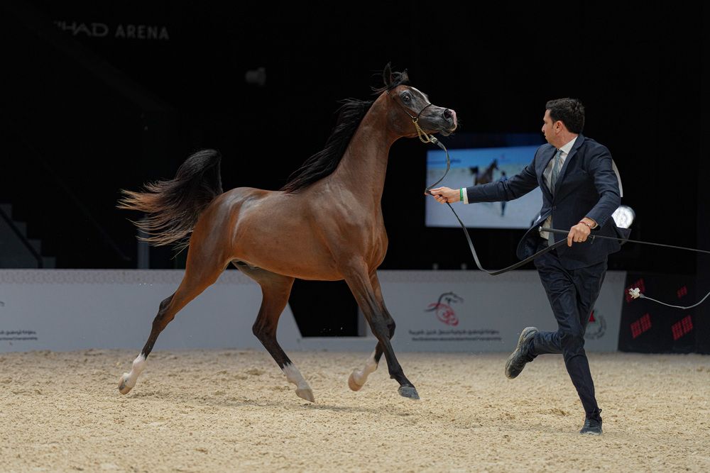Фотография автора Amin Malekzadeh