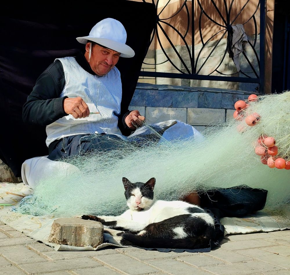 Photograph by Mohamed magdy