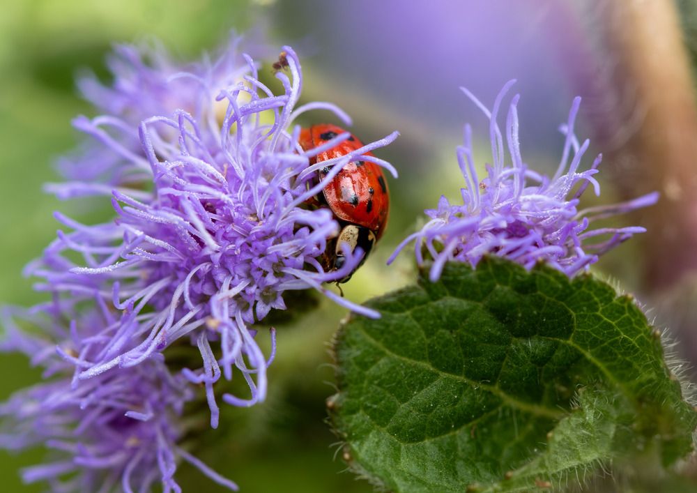 Photograph by Анатолий Костерев