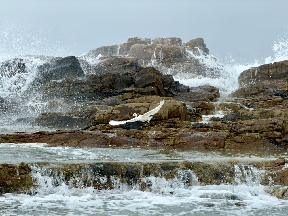 Photograph by Наталья Изотова