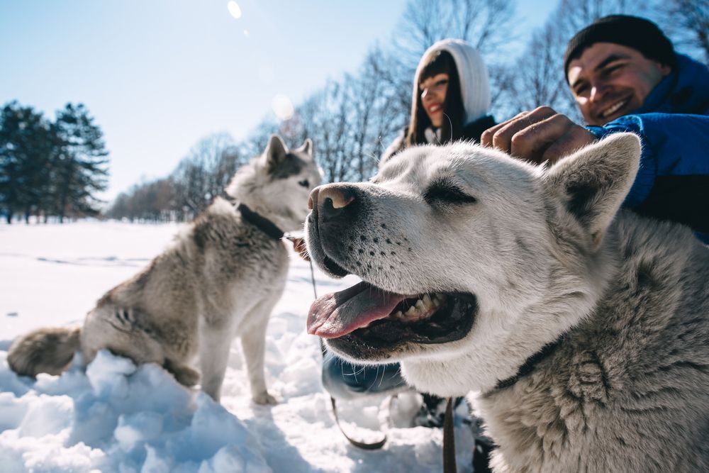 Photograph by Илья Ушак