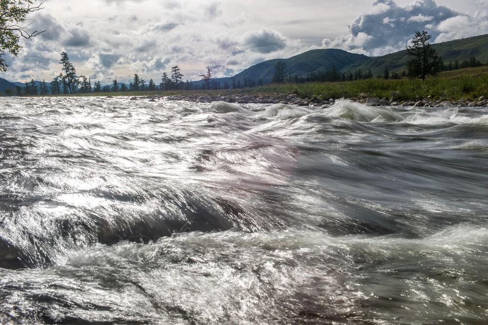 Photograph by Михаил Дронов