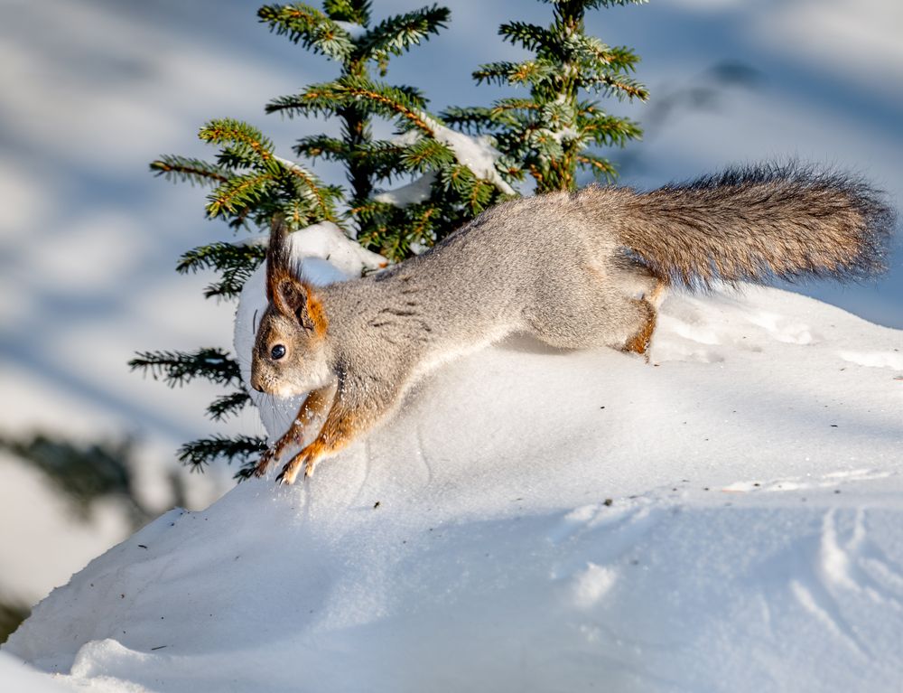 Photograph by Курлянцев Алексей