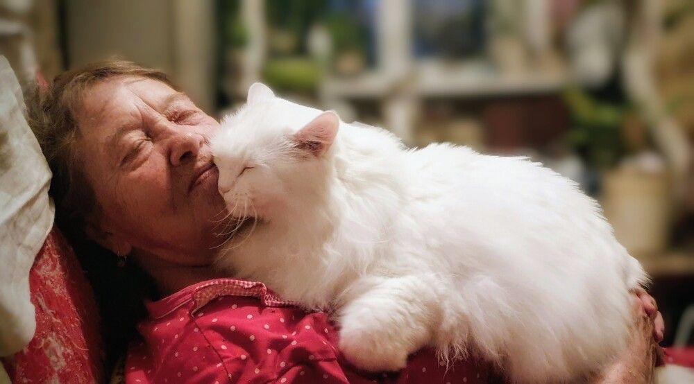 Photograph by Дмитрий Сорокин