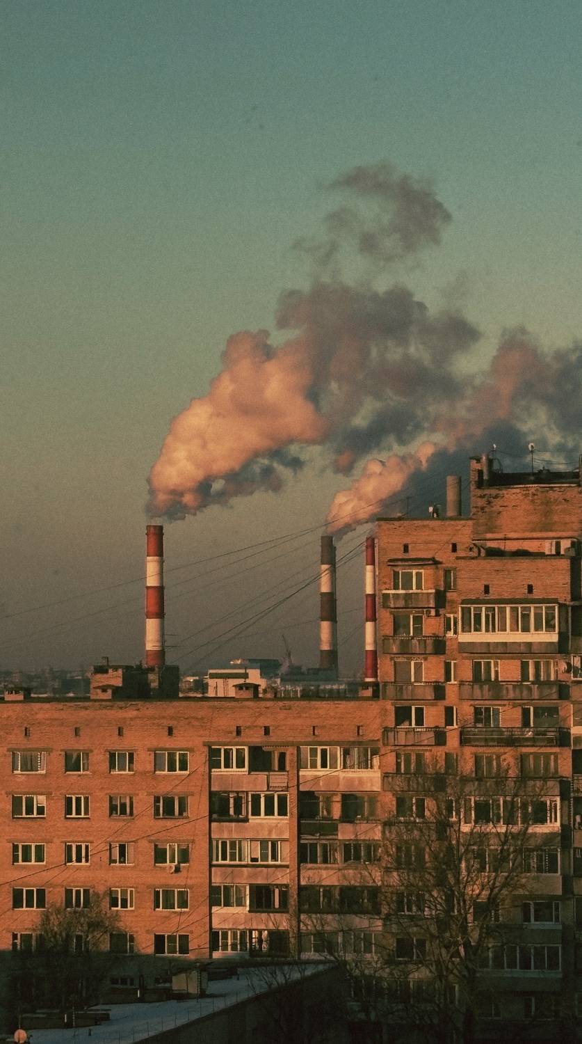 Фотография #13312556