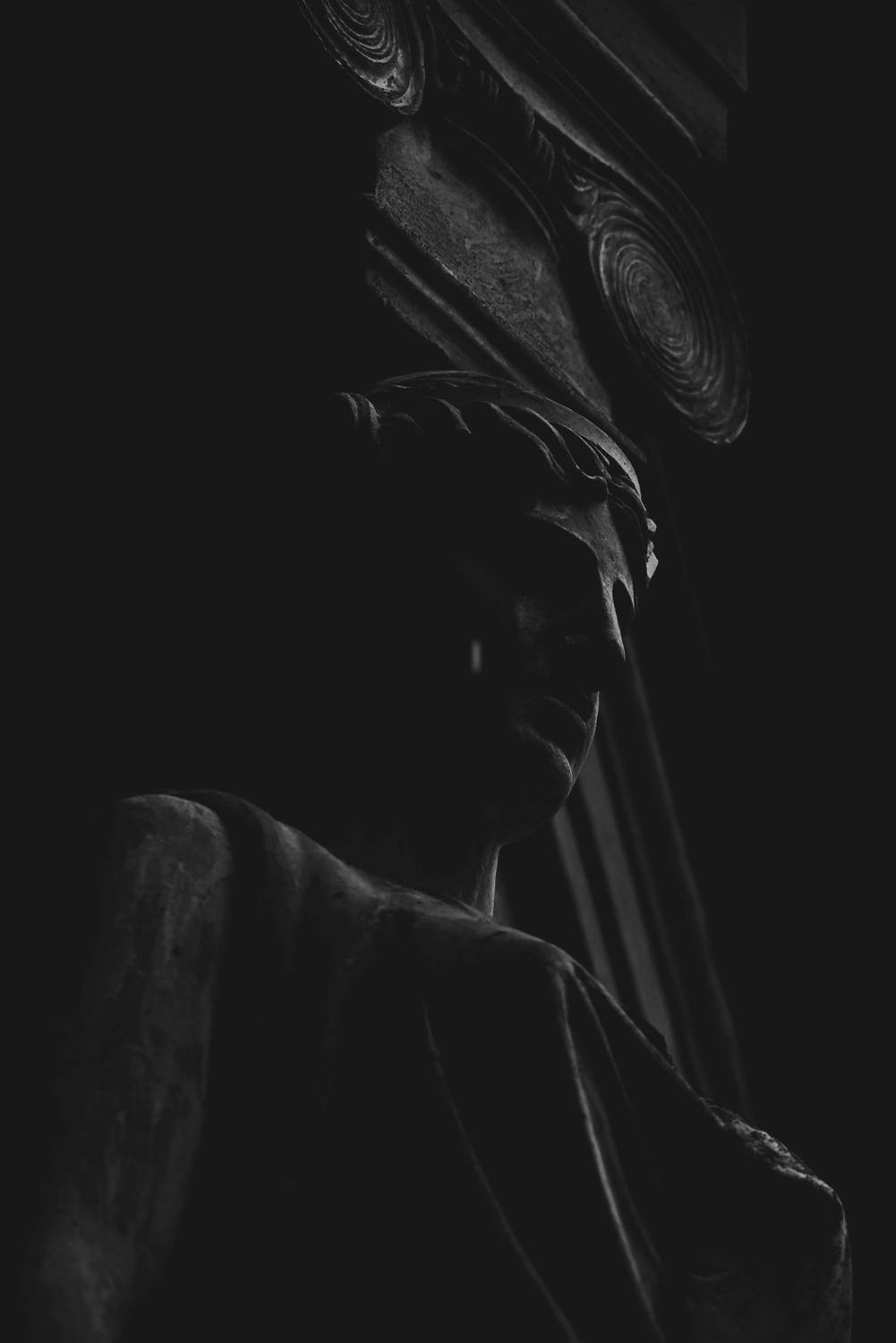 Фотография #13312565