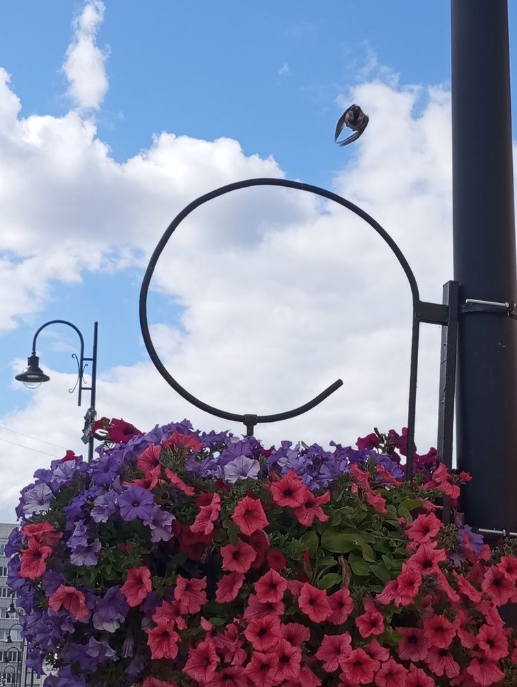 Photograph by Olga Afanaseva