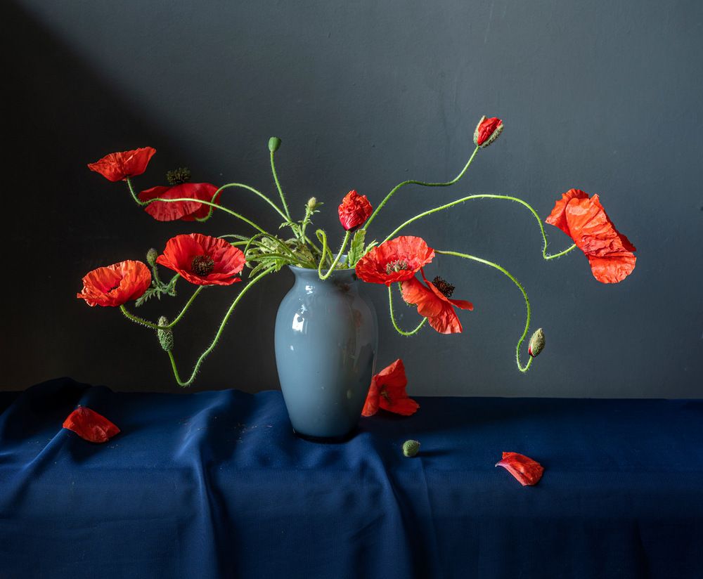 Photograph by Рюмина Ляля